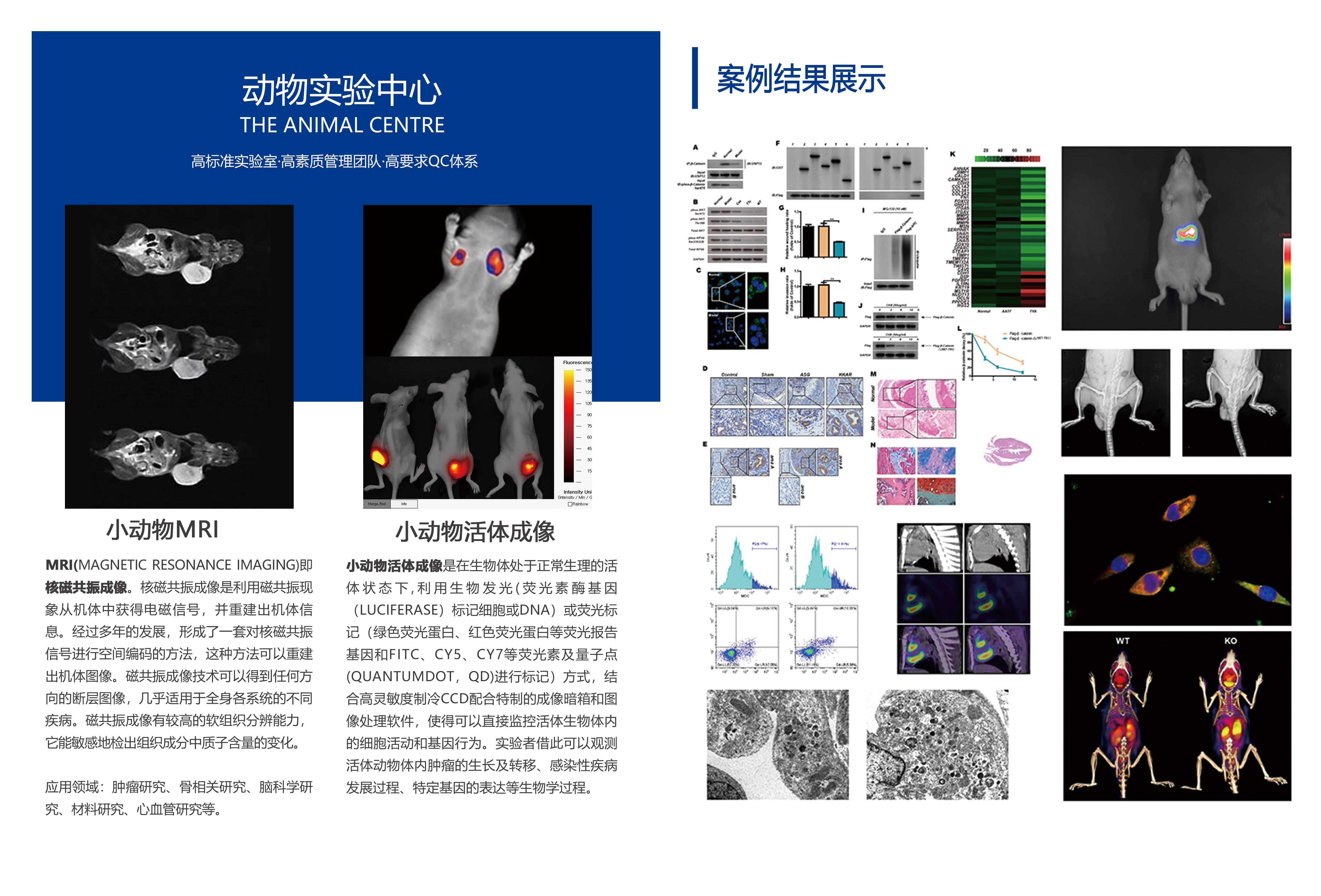 动物建模_安布瑞实验中心/动物实验中心/疾病动物模型 _模式动物